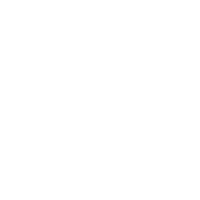 MIRO FESTIVAL